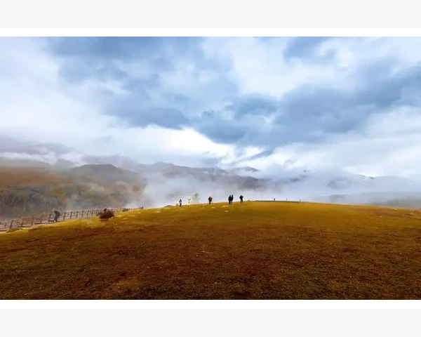 艾草泡脚：祛湿排毒，舒缓身心疲惫